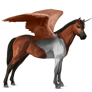 Крылатый пони-единорог  Пегая типа тобиано