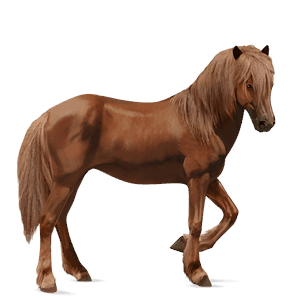 Верховая лошадь Ахалтекинская Рыжая