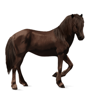 Верховая лошадь Мустанг Соловая (Паломино)