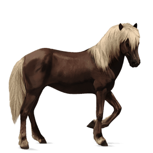 Верховая лошадь Аргентинский Криолло Пегий гнедой тобиано