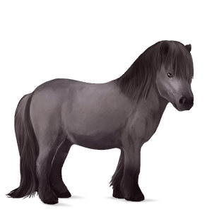 Пони Шетландский пони Мышино-серый