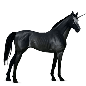Верховой единорог Лошадь лузитанской породы Вороная