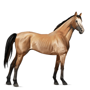 Верховая лошадь Светло-серый