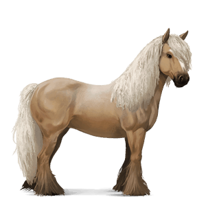 Верховая лошадь Соловая (Паломино)