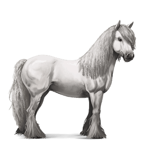 Верховая лошадь Цыганская упряжная Пегий буланой тобиано