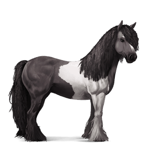 Верховая лошадь Пегий огненно-гнедой тобиано