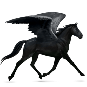 Верховой Пегас Голштинская лошадь Вороная