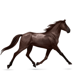 Верховая лошадь Орловский рысак Огненно-рыжая
