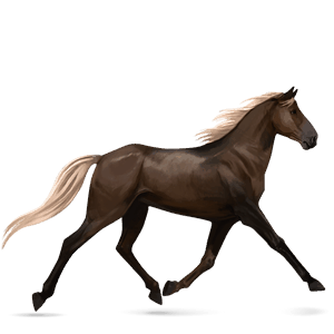 Верховая лошадь Цыганская упряжная Пегий огненно-рыжий тобиано
