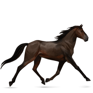 Верховая лошадь Французский Рысак Огненно-рыжая