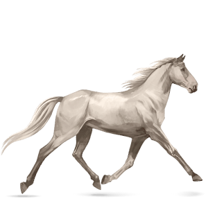 Верховая лошадь Соловая (Паломино)