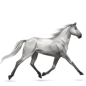 Верховая лошадь Орловский рысак Светло-серый