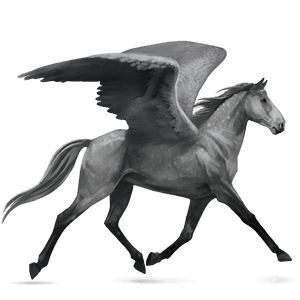 Верховой Пегас Голштинская лошадь Серый в яблоках