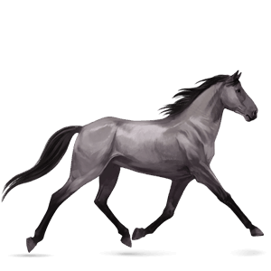 Верховая лошадь Орловский рысак Мышино-серый
