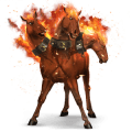Верховая лошадь Голландская теплокровная Огненно-рыжая
