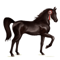Верховая лошадь Французская Верховая Изабелловая