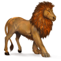 Дикая лошадь Африканский лев