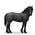 Доисторическая лошадь Лесная лошадь