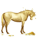 Верховая лошадь Мангаларга маршадор Серый в яблоках