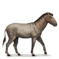 Доисторическая лошадь Гиппидион
