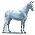 Лошадь воды Дождинка