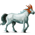 Верховая лошадь Аргентинский Криолло Красно-гнедая