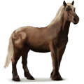 Дикая лошадь Баскский пони