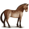 Дикая лошадь Лошадь Пржевальского