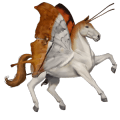 Верховая лошадь Липиццан Светло-серый