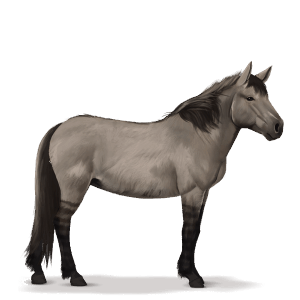 Доисторическая лошадь Тарпан