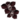 orchidee-noire_v1713961017.png