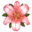 Лилия Геры