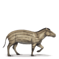 Доисторическая лошадь Гиракотерий