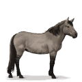 Доисторическая лошадь Тарпан