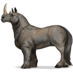 Дикая лошадь Носорог