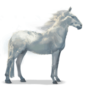 Лошадь воды Облако