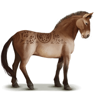 Дикая лошадь Лошадь Пржевальского