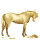 Кочевая лошадь Фортуна